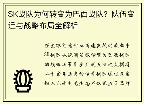SK战队为何转变为巴西战队？队伍变迁与战略布局全解析